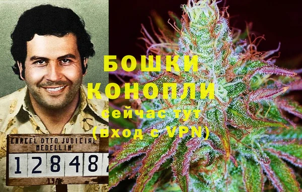 метадон Каменка